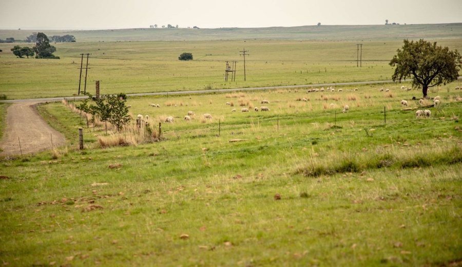 18 Bedroom Property for Sale in Heilbron Free State